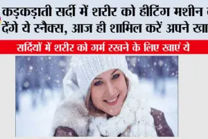 Winter Tips: कड़कड़ाती सर्दी में शरीर को हीटिंग मशीन बना देंगे ये स्नैक्स, आज ही शामिल करें अपने खाने में