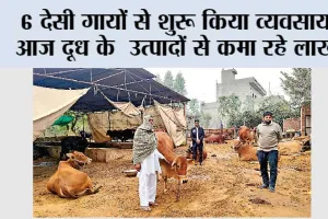 Dairy Farming: 6 देसी गायों से शुरू किया व्यवसाय, आज दूध के उत्पादों से कमा रहे लाखों