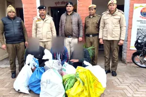 Chinese Manja: हांसी में चाइनीज मांझा बेचने वालों पर पुलिस ने कसा शिकंजा, तीन आरोपी गिरफ्तार