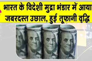 India Forex Reserves Gain: भारत का विदेशी मुद्रा भंडार, वृद्धि में तूफानी उछाल! पहुंचा 701 अरब डॉलर के पार