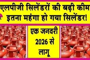 LPG Price Hike: नए साल का नया तोहफा! LPG की कीमतें बढ़ी , 111 रुपये महंगा हुआ सिलेंडर!