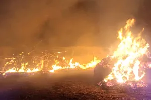 Fire: बनियावाला में अज्ञात कारणों से लगी भूसे की छान में आग 6 छान आई चपेट में आग लगाने वाले संदिग्ध की पुलिस को दी शिकायत