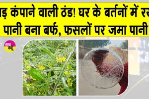 Weather Update: घने कोहरे व हाड़ जमाते पाले के बीच ठिठुरते हुए स्कूल पहुंचे बच्चे