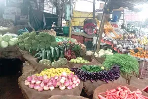Vegetable News: कड़ाके की ठंड में बढ़ी पैदावार, मंडियों में सस्ती सब्जियाँ उपलब्ध