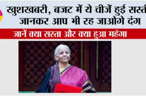 Budget 2026: खुशखबरी, बजट में ये चीजें हुई सस्ती, जानकर आप भी रह जाओगे दंग