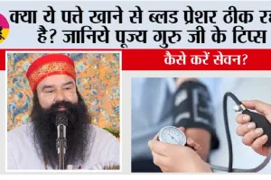 Control High Blood Pressure: क्या ये पत्ते खाने से ब्लड प्रेशर ठीक रहता है? जानिये पूज्य गुरु जी के टिप्स