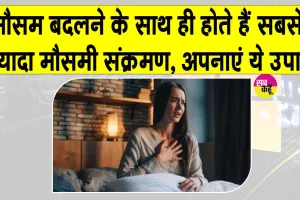 Ayurveda Health Tips: इन दिनों होते हैं सबसे ज्यादा सर्दी-जुकाम? जानें बचने का सही तरीका व हेल्थ टिप्स