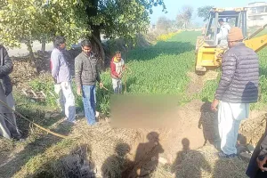गांव रोडीकपुरा के डेरा श्रद्धालुओं ने बचाई दो बेजुबानों की जिंदगी 