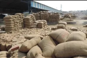 Rice Theft Case: चावल चोरी मामले में तीन प्रवासी गिरफ्तार