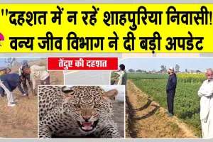 Sirsa Leopard News: ”दहशत में न रहें शाहपुरिया निवासी, तेंदुए की दहशत को लेकर वन्य जीव विभाग ने दी ये बड़ी अपडेट