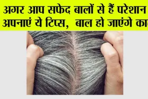White Hair: अगर आप सफेद बालों से हैं परेशान तो अपनाएं ये टिप्स, बाल हो जाएंगे काले!