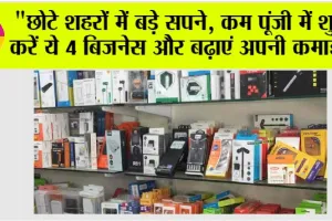 Business Ideas: “छोटे शहरों में बड़े सपने, कम पूंजी में शुरू करें ये 4 बिजनेस और बढ़ाएं अपनी कमाई”