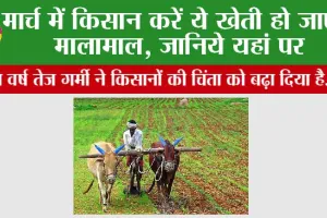 Farmers News: मार्च में किसान करें ये खेती, हो जाएंगे मालामाल, जानिये यहां पर
