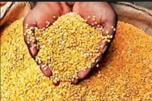 Ration Dealer News: गरीबों का खाद्यान्न डकार गया गोगवान का राशन डीलर, मुकदमा दर्ज