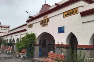 Jakhal Railway Station: जाखल स्टेशन पर बठिंडा के यात्री का बैग उठाकर चलती ट्रेन से कूदा चोर