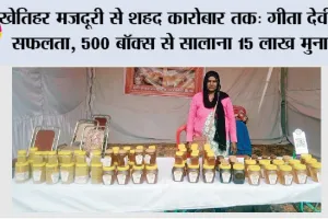 Beekeeping: खेतिहर मजदूरी से शहद कारोबार तक: गीता देवी की सफलता, 500 बॉक्स से सालाना 15 लाख मुनाफा