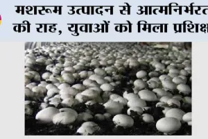 मशरूम उत्पादन से आत्मनिर्भरता की राह, युवाओं को मिला प्रशिक्षण