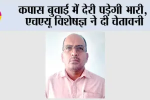 कपास बुवाई में देरी पड़ेगी भारी, एचएयू विशेषज्ञ ने दी चेतावनी