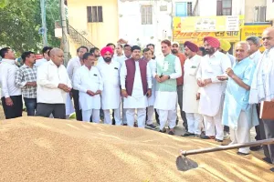 राज्यसभा सांसद सुभाष बराला ने जाखल मंडी में गेहूं खरीद व्यवस्था की समीक्षा की