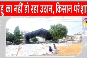 सरसा की अनाज मंडियां गेहूं से लबालब, नहीं हो रहा उठान, किसान परेशान