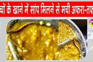 Snake News: बच्चों के भोजन में सांप मिलने से मचा हड़कंप, सैकड़ों छात्र अस्पताल में भर्ती