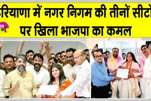 Local Body Election Results: हरियाणा में भी छाई भाजपा, नगर निगम की तीनों सीटें जीती