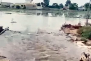 गोरखपुर माइनर में लीकेज से खेत बने तालाब