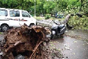 Heavy Rain: मोहाली, चंडीगढ़ सहित पंचकूला में तूफान व बारिश ने मचाई भारी तबाही