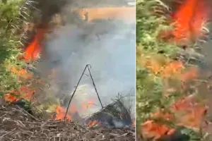 नहरी विभाग की जमीन पर लगे वर्षों पुराने पेड़ों में लगी आग