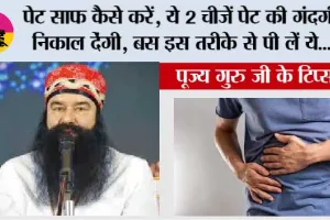 Health Tips: पेट साफ कैसे करें, ये 2 चीजें पेट की गंदगी निकाल देंगी, बस इस तरीके से पी लें ये...