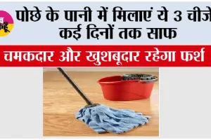 Home Cleaning Hacks: पोछे के पानी में मिलाएं ये 3 चीजें, कई दिनों तक साफ, चमकदार और खुशबूदार रहेगा फर्श