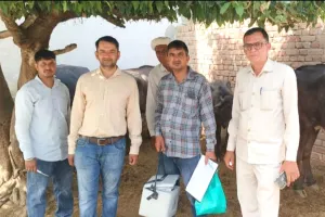 90 हजार पशुओं को बीमारी से बचाने का लक्ष्य, 15 दिन में 35 हजार से अधिक का हुआ टीकाकरण