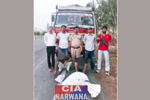 30 किलो चूरापोस्त व 1 किलो अफीम सहित दो तस्कर काबू