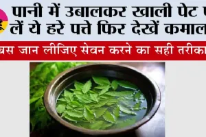 Neem Leaf Water Benefits: पानी में उबालकर खाली पेट पी लें ये हरे पत्ते फिर देखें कमाल... 