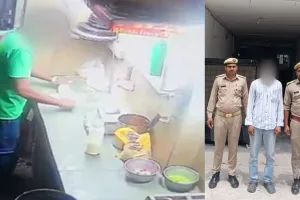 Pizza: पिज्जा खाने वाले हो जाएं सावधान! नोएडा में वायरल वीडियो के बाद मचा हड़कंप