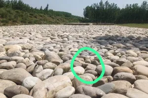 बाढ़ राहत कार्यों में अनियमितताओं के आरोप, स्टेकों के बीच मिट्टी भरने पर उठे सवाल