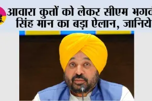 आवारा कुत्तों को लेकर सीएम भगवंत सिंह मान का बड़ा ऐलान, जानिये