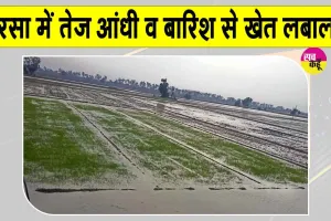 Sirsa Weather: सरसा में तेज आंधी-बारिश, तपते शहर को मिली ठंडक, पेड़ व बिजली के खंभे गिरे