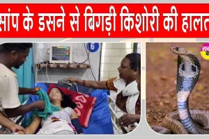 Snake News: सो रही 14 वर्षीय किशोरी को जहरीले सांप ने डसा, अस्पताल में भर्ती, हालत गंभीर
