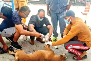 ट्रेन हादसे में दोनों टांगें गंवाने वाले बेजुबान के दर्द को इन लोगों ने किया दूर