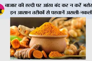 बाजार की हल्दी पर आंख बंद कर न करें भरोसा, इन आसान तरीकों से पहचानें असली-नकली
