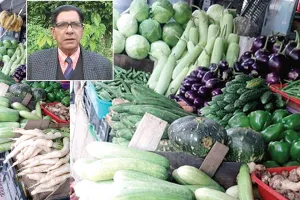 Vegetables: गर्मी से बचाव के लिए सब्जियों की तुड़ाई सुबह व शाम को करें: डॉ. सीबी सिंह