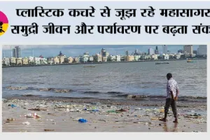 Environment Problem: प्लास्टिक कचरे से जूझ रहे महासागर, समुद्री जीवन और पर्यावरण पर बढ़ता संकट