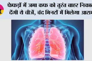 Health Alert: फेफड़ों में जमा कफ को तुरंत बाहर निकाल देंगी ये चीजें, चंद मिनटों में मिलेगा आराम