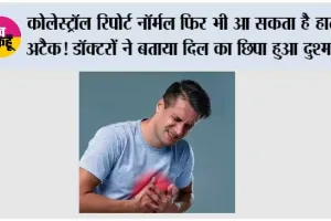 Heart Disease India: कोलेस्ट्रॉल रिपोर्ट नॉर्मल फिर भी आ सकता है हार्ट अटैक! डॉक्टरों ने बताया दिल का छिपा हुआ दुश्मन