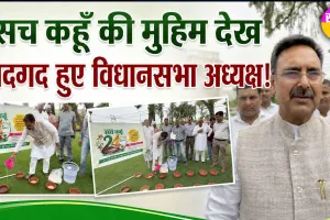 सच कहूँ' अखबार ने सेवा कार्यों के साथ मनाई 24वीं वर्षगांठ, विधानसभा अध्यक्ष हरविंदर कल्याण ने की सराहना
