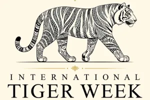 International Tiger Week: 5वां रॉयल रणथंभौर इंटरनेशनल टाइगर वीक (आईटीडब्ल्यू) 26 जून से