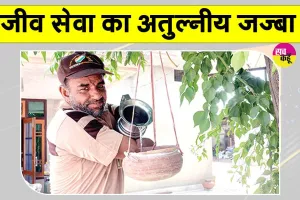 सच-कहूँ की 24वीं वर्षगांठ पर पाठकों ने किया बेजुबानों के लिए ये सराहनीय कार्य