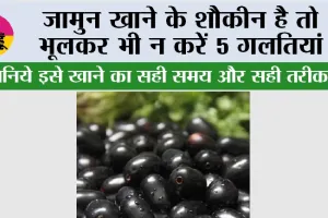 Mistakes While Eating Jamun: जामुन खाने के शौकीन है तो भूलकर भी न करें ये गलतियां, जानिये इसे खाने का सही समय और सही तरीका 