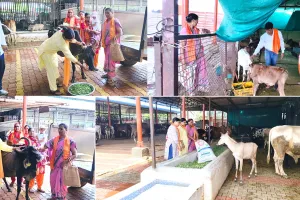 हिन्दू स्वाभिमान सप्ताह के समापन पर हुआ गौसेवा कार्यक्रम